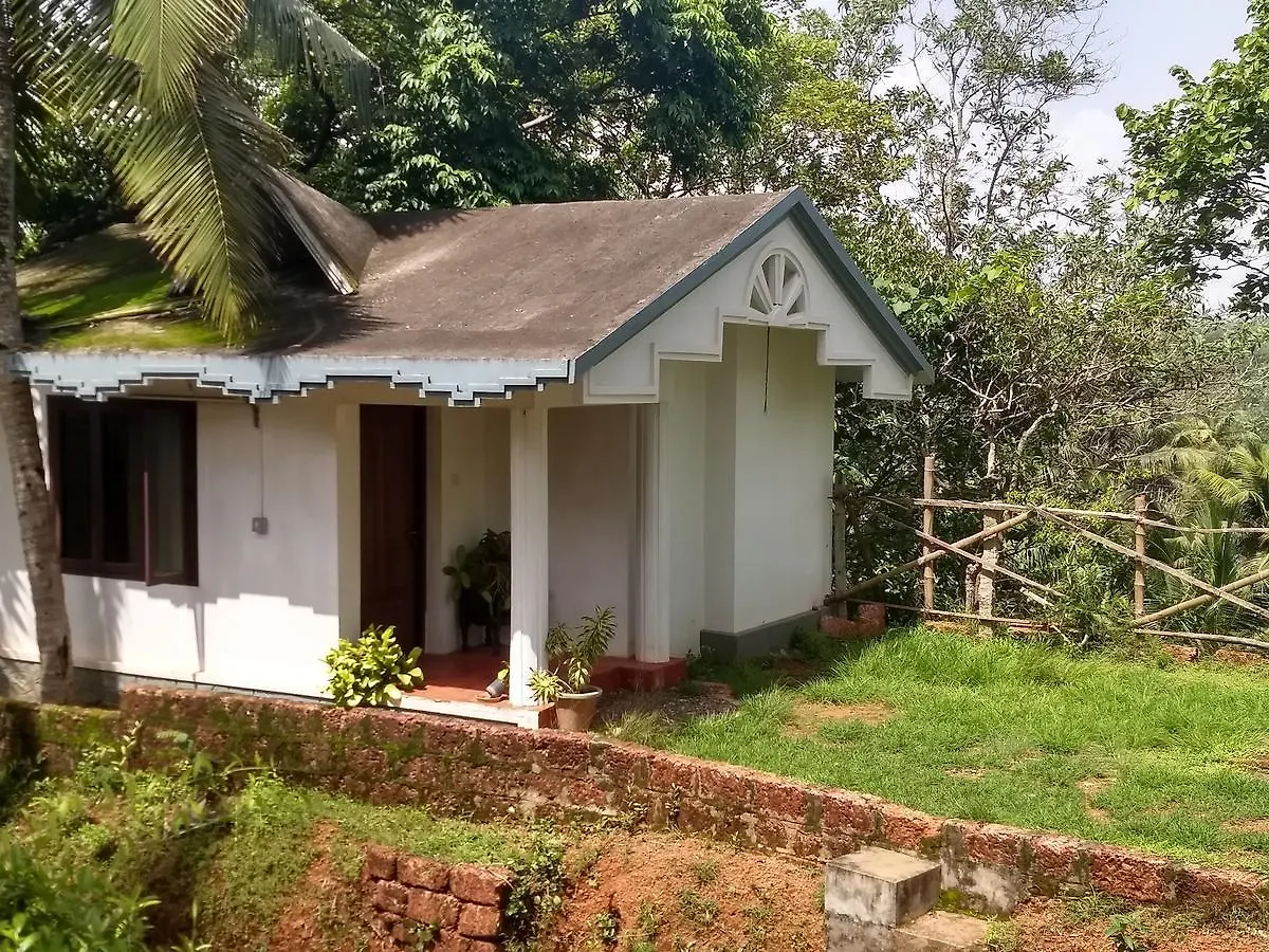 Blooming Bay - Clifftop Beach Resort Varkala